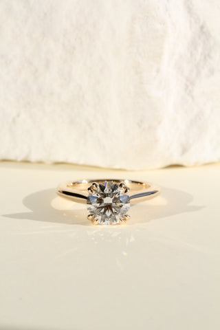 Amsterdam Lotus Prong, Round Cut