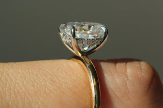 London Hidden Halo Solitaire, Oval Cut