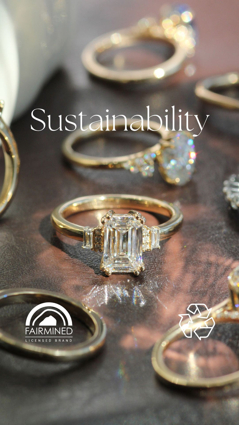Sustainability – Bijou Lab